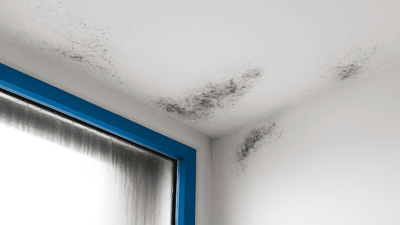 Humedad por condensación